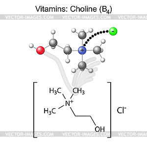Structural chemical formula and model of vitamin - vector image