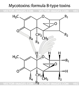 General Structural Chemical Formulas Of Mycotoxins - Vector Clip Art