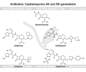 Structural chemical formulas of antibiotics - - vector image