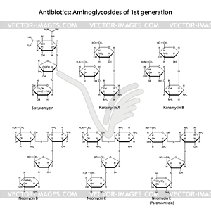 Structural chemical formulas of aminoglycoside - vector clip art