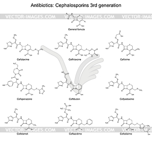 Structural chemical formulas of antibiotics - - vector clip art