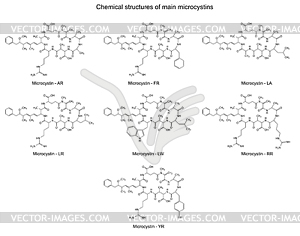 Chemical structural formulas of main microcystins - vector clipart