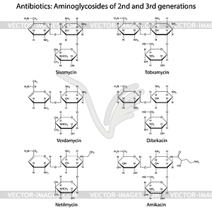 Structural chemical formulas of aminoglycoside - vector clip art