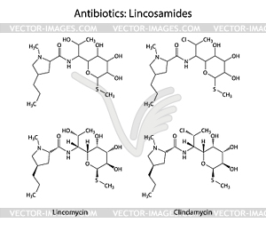 Lincosamides - structures of lincomycin & - vector clipart