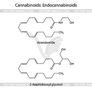 Каннабиноидов - сигнальные молекулы - рисунок в векторе