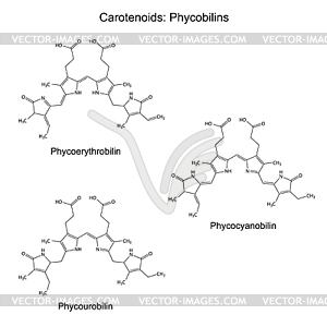 Structural chemical formulas of plant pigments - - vector image