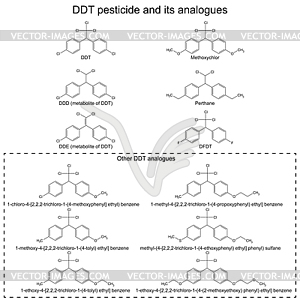 DDT pesticide and its alanogues - vector image