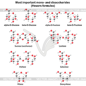 Chemical structural models of main mono- and - vector image