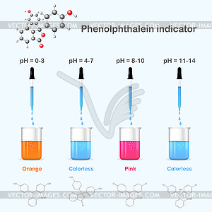 Forms of phenolphthalein in solutions with differen - royalty-free vector image