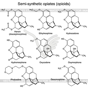 Chemical formulas of main semisynthetic opiates - vector image