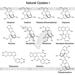 Structural formulas of main natural opiates - vector clip art