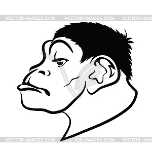 Monkey - vector image