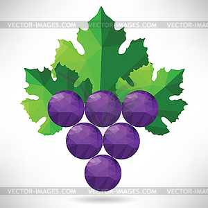 Grapes - vector clipart