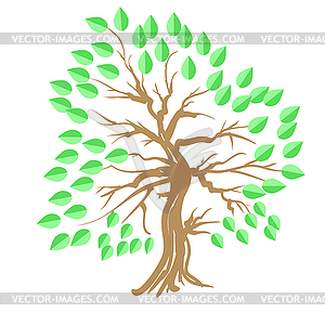 Green Tree - color vector clipart