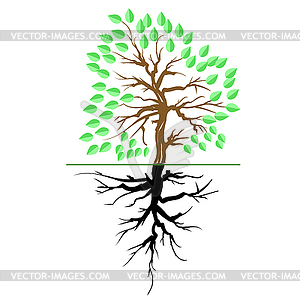 Green Tree with Root - vector clipart