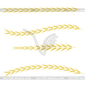 Yellow Wheats - vector image