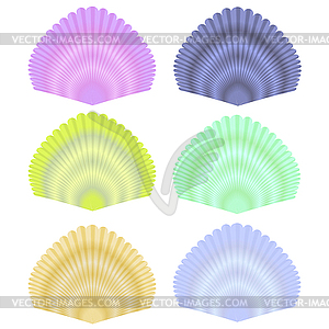 Seashell Collection - vector image