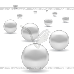 Set of White Pearl - vector clipart