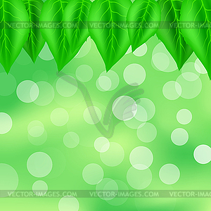 Leaves Pattern - color vector clipart