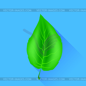 Зеленый лист - стоковый клипарт
