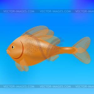 Sea Fish - vector clipart / vector image