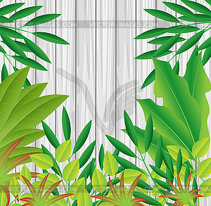 Зеленые растения на фоне деревянной текстурой - цветной векторный клипарт