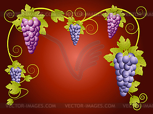 Background for design with vine - vector clipart