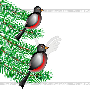 Bullfinchs sit on branches of fir-tree - vector clipart