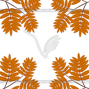 Background for design with autumn leaves of wild ash - vector clip art