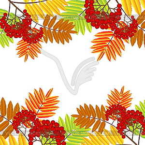 Ветка с осенними листьями и ягодами рябины - векторное изображение