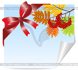 Branch with autumn leaves and berries of wild ash - vector image