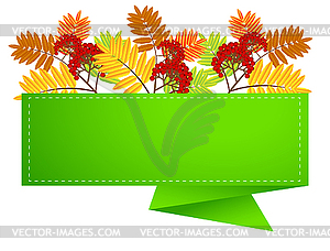 Ветка с осенними листьями и ягодами рябины - клипарт