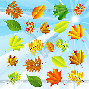 Background for design with autumn leaves - vector clip art