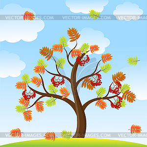 Дерево с осенними листьями и ягодами рябины на - векторное изображение EPS