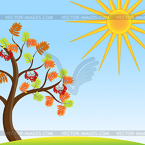 Tree with autumn leaves and berries of wild ash on - vector image