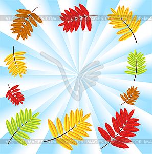 Background for design with autumn leaves of wild ash - vector clipart