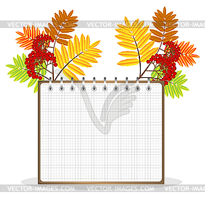 Branch with autumn leaves and berries of wild ash - vector EPS clipart