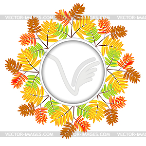 Background for design with autumn leaves of wild ash - vector clipart
