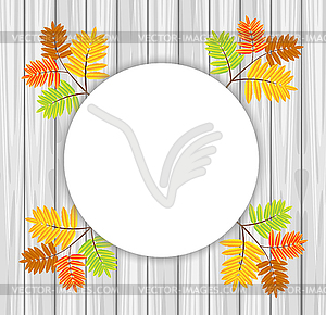 Background for design with autumn leaves of wild ash - vector clip art