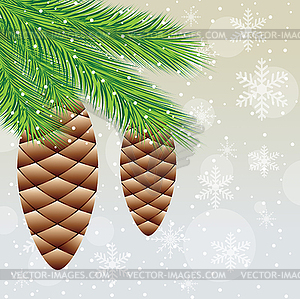 Branch of christmas tree with cones - vector image