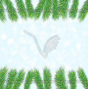 Festive background with branches of christmas tree - vector image