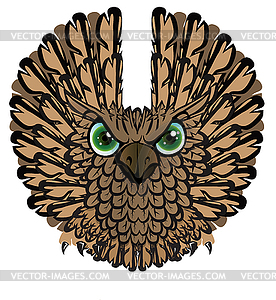 Nocturnal birds of prey. Owl - vector image