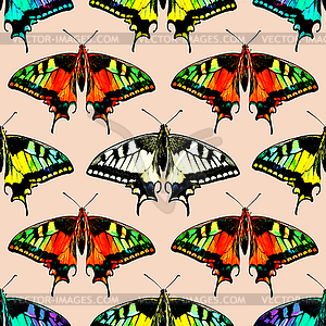 Seamless background of colorful butterflies - vector clip art