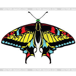 Seamless background of colorful butterflies - vector clipart / vector image