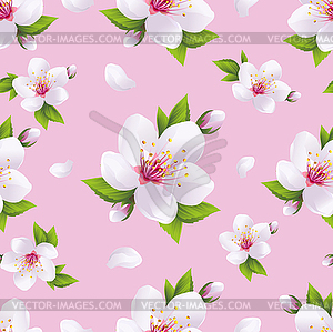 Beautiful background seamless pattern, sakura - vector image