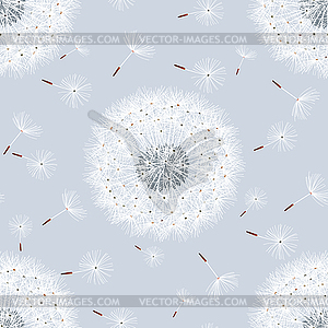 Seamless pattern grey with flowers dandelions - vector clip art