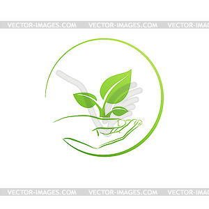 Hand holding plant, logo growth concept - vector image