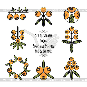 Set of sea buckthorn logos, signs and symbols for - vector image