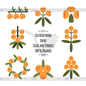 Set of sea buckthorn logos, signs and symbols for - vector image