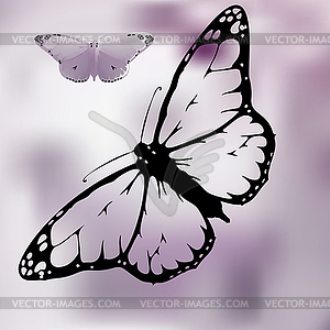 Set Monarch Butterfly with open wings - vector clipart